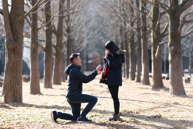 Private Nami Island Photo Shoot and Tour with a Photographer - Photo 1 of 21